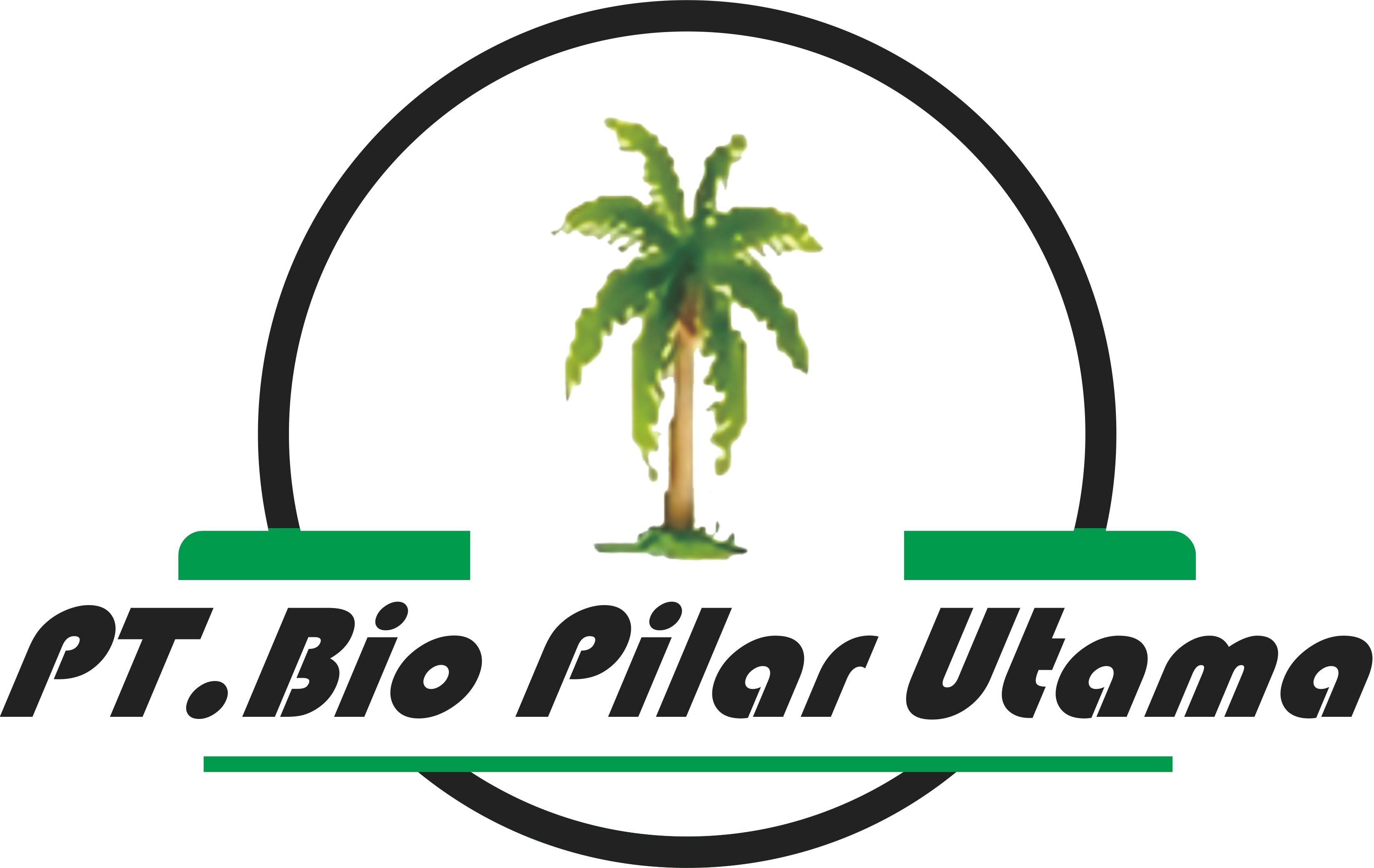 ERP Bio Pilar Logo